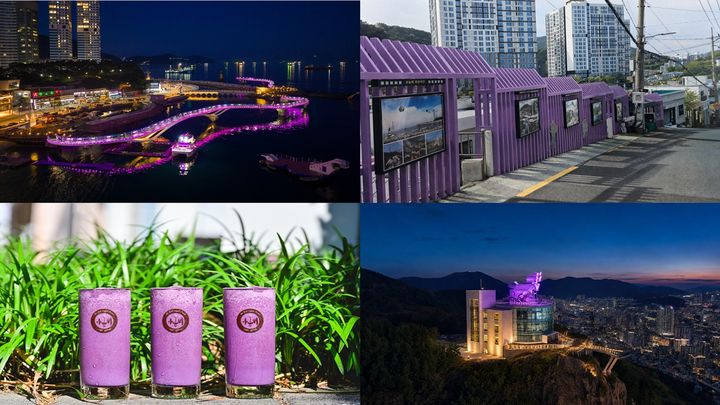 [부산=뉴시스] 부산 서구의 '보라마을 만들기 사업'. 왼쪽에서 시계방향으로 송도구름산책로 야간 경관 조명 점등, 피란수도 흔적길 포토갤러리 시설물 보라색 도색, 천마산복합전망대 야간경관, 아미베리 스무디. (사진=부산 서구 제공) 2026.06.05. photo@newsis.com *재판매 및 DB 금지