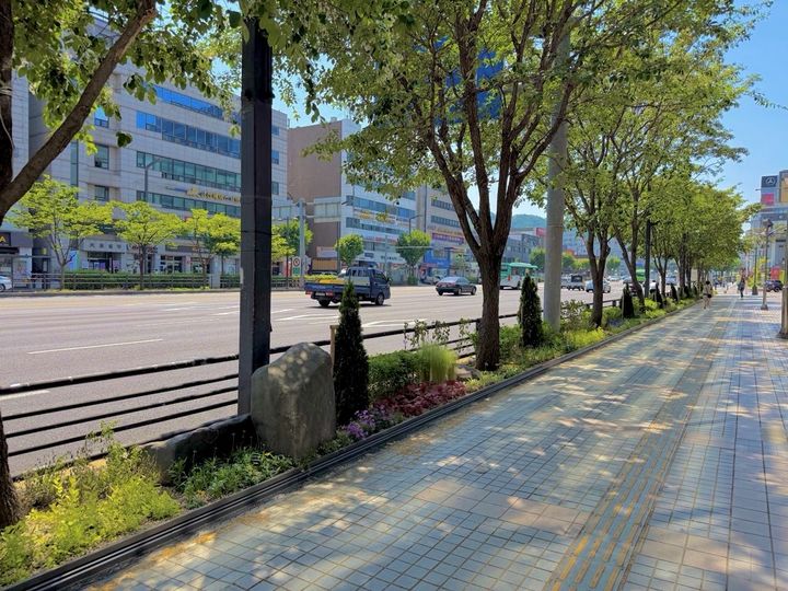 [서울=뉴시스]금천구 시흥대로에 조성된 '사계절 정원형 띠녹지'. (사진=금천구 제공) 2026.06.07. photo@newsis.com *재판매 및 DB 금지