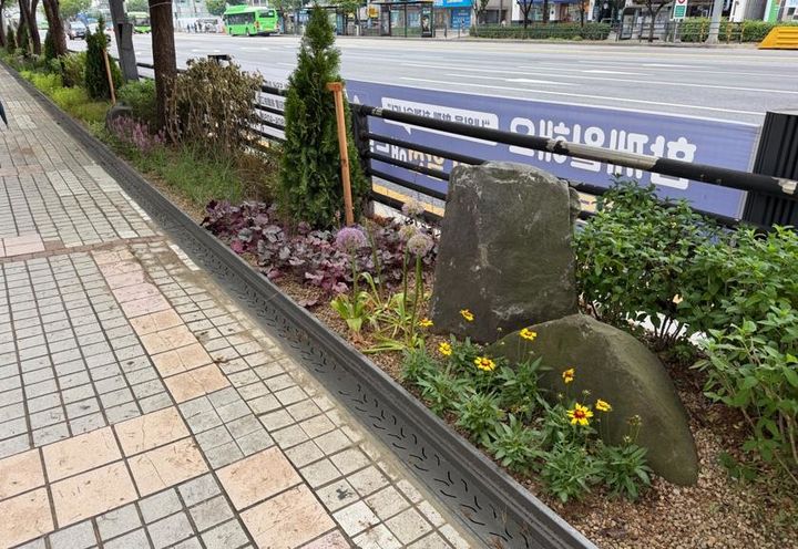 [서울=뉴시스]금천구 시흥대로에 조성된 '사계절 정원형 띠녹지'. (사진=금천구 제공) 2026.06.07. photo@newsis.com *재판매 및 DB 금지