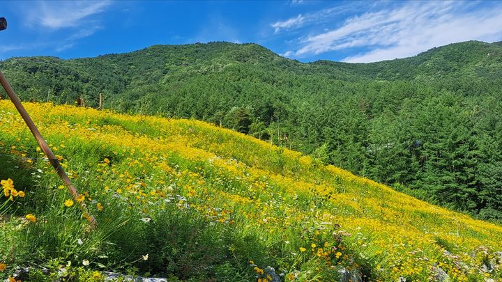 "수산물 전통시장에서 사세요"…최대 2만원 환급한다 등[거창소식]
