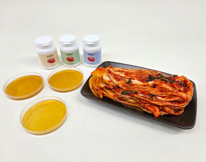 충북도농업기술원이 특허 출원한 김치 발효 최적화 유산균 3종. (사진=충북도농업기술원 제공) *재판매 및 DB 금지