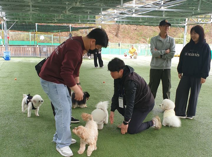 [울산=뉴시스] 울산 남구 애견운동공원에서 뛰어노는 반려견들. (사진=울산 남구 제공) photo@newsis.com *재판매 및 DB 금지