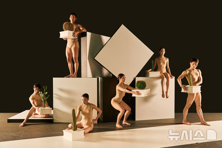 [서울=뉴시스]알렉산더 에크만 안무의 'Cacti'(선인장) 공연 장면. (사진=세종문화회관 제공) 