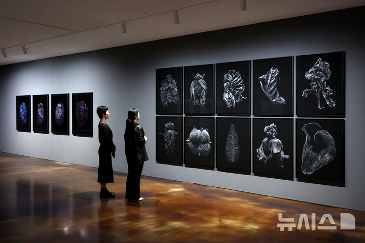 [서울=뉴시스] 박진희 기자 = 국제갤러리는 9일 서울 종로구 국제갤러리 K1과 K2에서 사진 기획전 '진동하는 사물들(Objects in Oscillation)' 기자간담회를 갖고 한국 사진작가 9인의 정물 사진을 선보이고 있다. 전시는 사진작가이자 기획자인 구본창 작가의 기획으로 구성되었다. 참여작가는 구본창, 정희승, 조성연, 김수강, 김경태, 박찬우, 구성연, 정정호, 조선희. 2026.06.09. pak7130@newsis.com