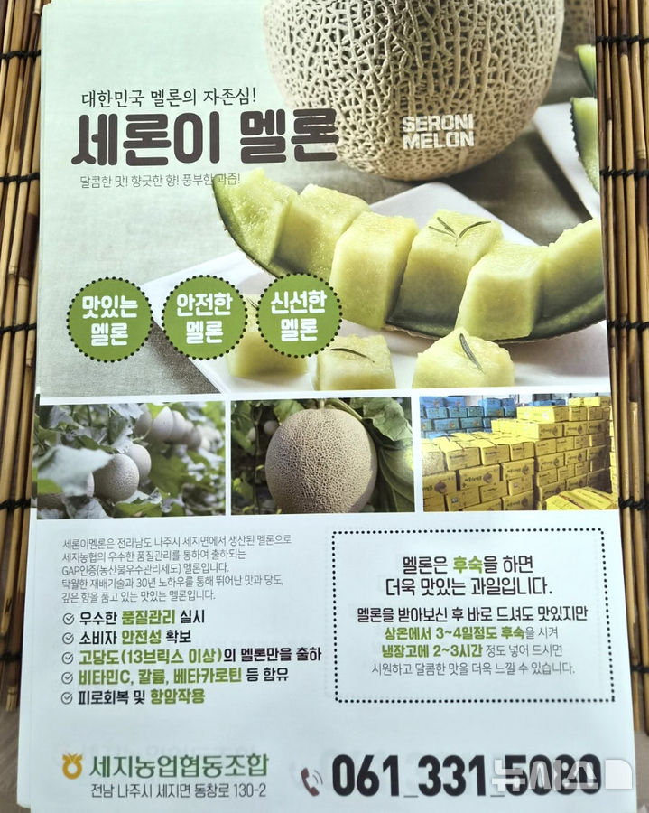 나주 세지농협이 혁신도시 공공기관을 대상으로 17일까지 '찾아가는 세론이 멜론 판촉행사'를 진행한다. (사진=세지농협 제공) photo@newsis.com