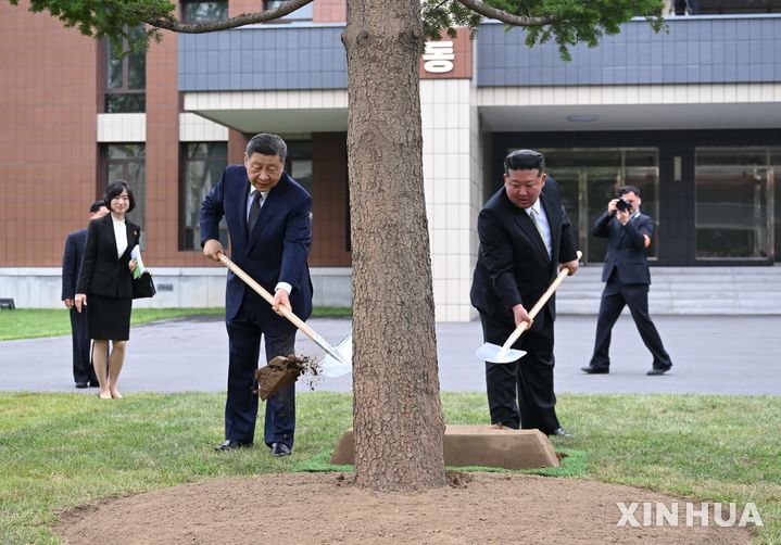 [평양=신화/뉴시스] 시진핑(왼쪽) 중국 국가주석과 김정은 북한 국무위원장이 9일 평양의 조선노동당 중앙간부학교를 방문해 전나무 한 그루를 심고 있다. 2026.06.09.