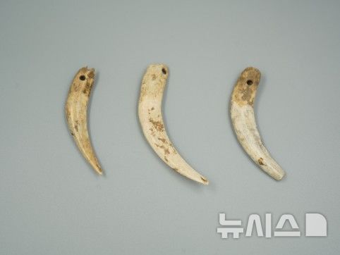 작은 전시 "뼈로 만든 장신구"…원삼국시대 골각기 '6점'