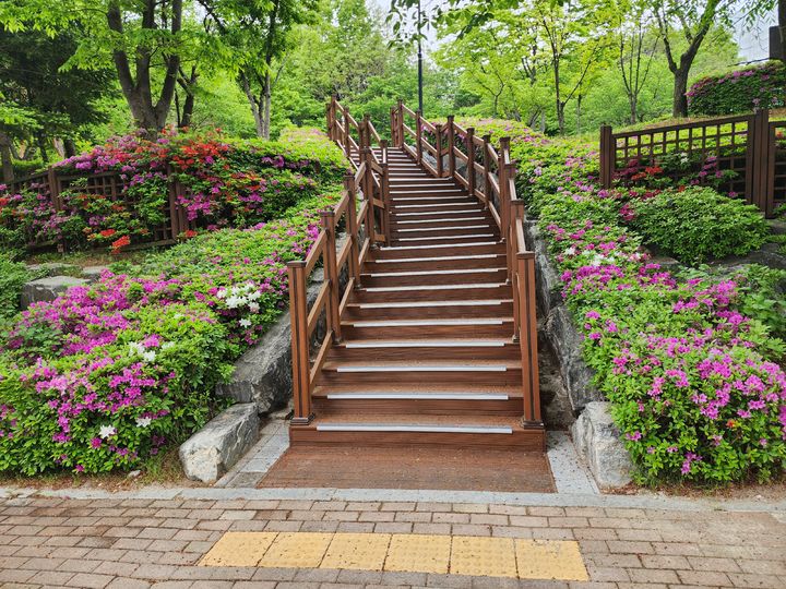 [용인=뉴시스] 경기 용인시 푸른공원사업소는 기흥구 공세동 버들어린이공원과 신갈동 도현어린이공원에 휴게시설과 맨발길 등을 조성했다. (사진=용인시 제공) 2026.06.10. photo@newsis.com *재판매 및 DB 금지