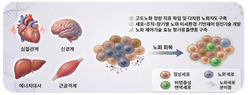 과학기술정보통신부는 10일 서울에서 '생체노화 리프로그래밍 원천기술개발사업'의 성공적인 추진과 연구기관 간 긴밀한 연계 강화를 위한 사업 착수 회의를 개최했다고 밝혔다. (사진=과기정통부 제공) *재판매 및 DB 금지