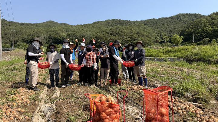 [합천=뉴시스] 합천군 기획예산담당관·합천읍, 농촌일손돕기 지원 (사진=합천군 제공) 2026. 06. 10. photo@newsis.com *재판매 및 DB 금지