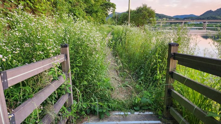 [산청=뉴시스] 서희원 기자= 경남 산청군 신안면과 단성면을 잇는 성철스님 순례길이 잡초만 무성하게 자라 정비가 시급하다. 2026. 06. 09. shw1881@newsis.com *재판매 및 DB 금지