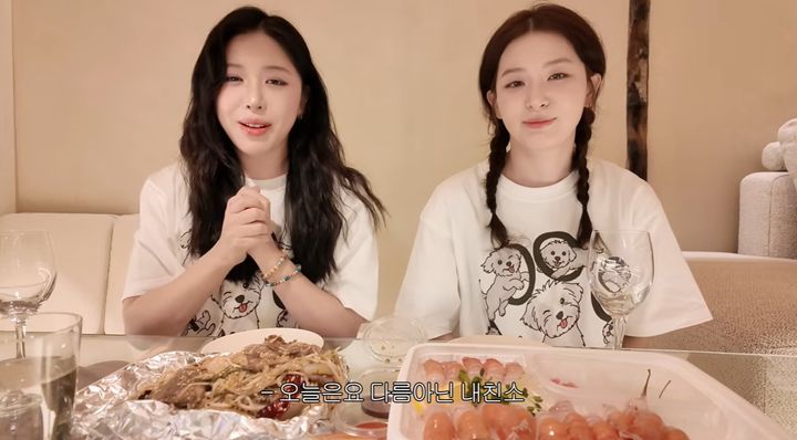 [서울=뉴시스] 그룹 레드벨벳 슬기의 사촌동생으로 알려진 유튜버 수키진(왼쪽)이 세상을 떠났다. (사진=유튜브 채널 '수키진sukyzin' 캡처) 2026.06.11. photo@newsis.com *재판매 및 DB 금지