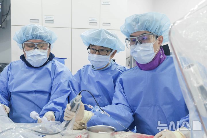 [서울=뉴시스] 경희대병원 심장내과 중재시술팀(좌측 2번째부터 김원, 이진호 교수)이 관상동맥 쇄석술을 시행하고 있다. (사진= 경희대병원 제공)