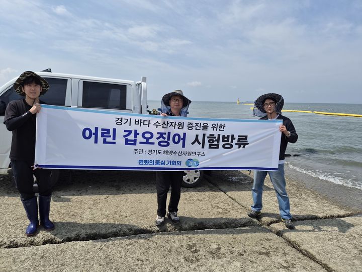 [수원=뉴시스] 경기도해양수산자원연구소가 11일 화성 연안에 갑오징어 3만 마리를 시험 방류했다. (사진=경기도 제공) 2026.06.11. photo@newsis.com *재판매 및 DB 금지