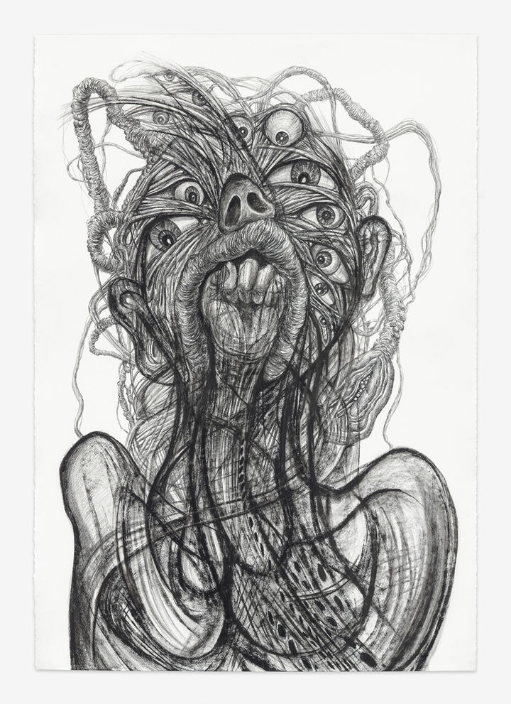 장파 〈Drawing for Gore Deco #8〉 2026 Charcoal on paper 112 x 76 cm Courtesy of the artist and Kukje Gallery 사진: 안천호 이미지 제공: 국제갤러리 *재판매 및 DB 금지