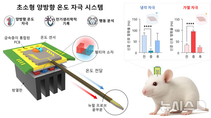 [서울=뉴시스] 신경 활동 기록을 위한 전극 배열이 통합된 초소형 양방향 온도 자극 시스템. (사진= 고려대 의과대학 제공)