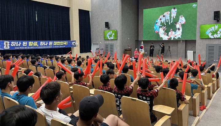 [뉴시스 앵글] "대한민국~" 월드컵 체코전 응원전 후끈
