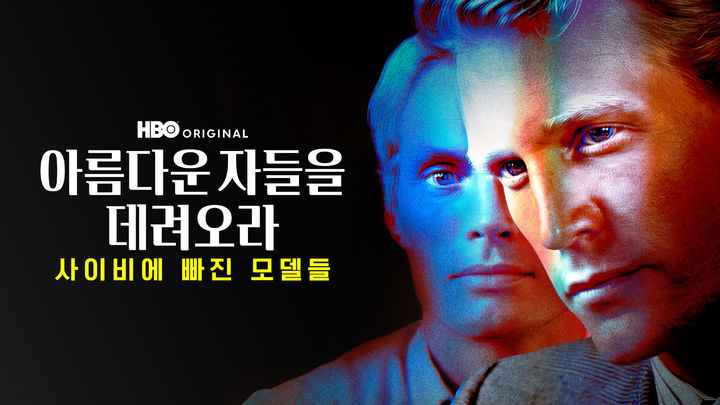 [주말의 OTT]월드컵이 시작됐지만