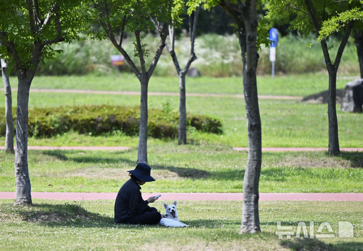 [광주=뉴시스] 박기웅 기자 = 14일 오전 광주 광산구 선암동 황룡친수공원에서 반려견과 산책을 나온 한 시민이 나무 그늘 아래 앉아 쉬고 있다. 2026.06.14. pboxer@newsis.com