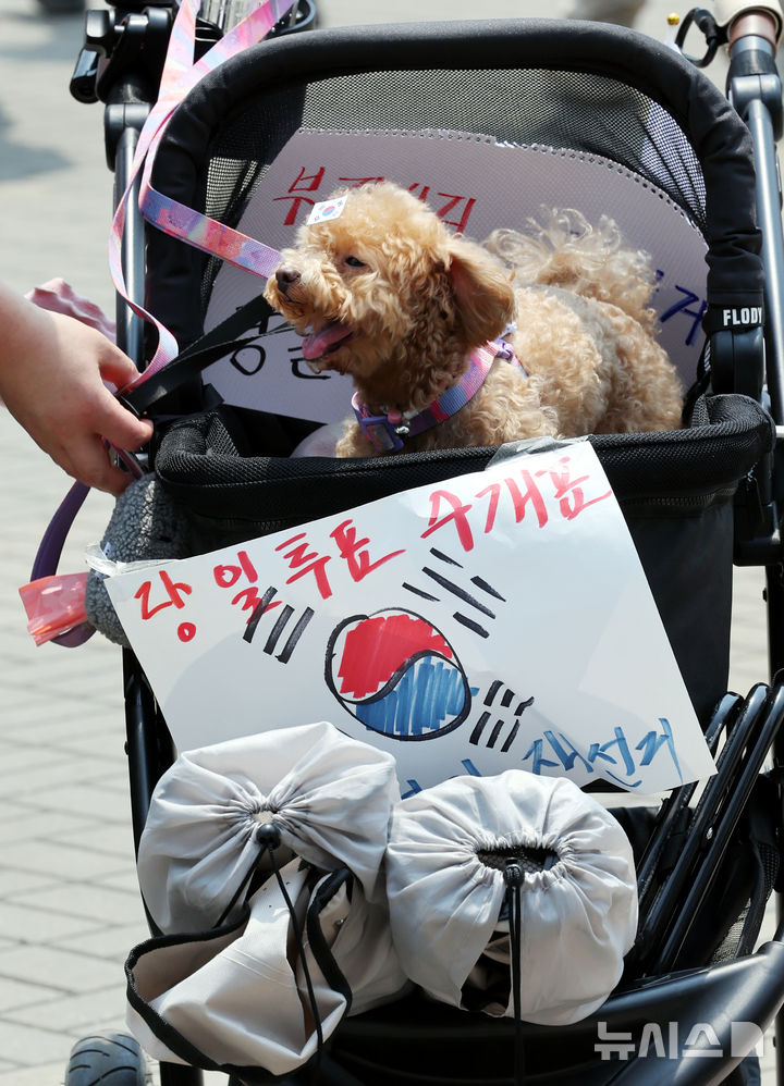 [서울=뉴시스] 박주성 기자 = 제9회 전국동시지방선거 투표용지 부족 사태에 항의하며 개표소 봉쇄 시위를 이어가고 있는 14일 서울 송파구 올림픽공원 핸드볼경기장에 설치된 개표소 앞에 한 시민이 강아지를 태운 유모차에 재선거를 촉구하는 문구를 붙이고 이동하고 있다. 2026.06.14. park7691@newsis.com