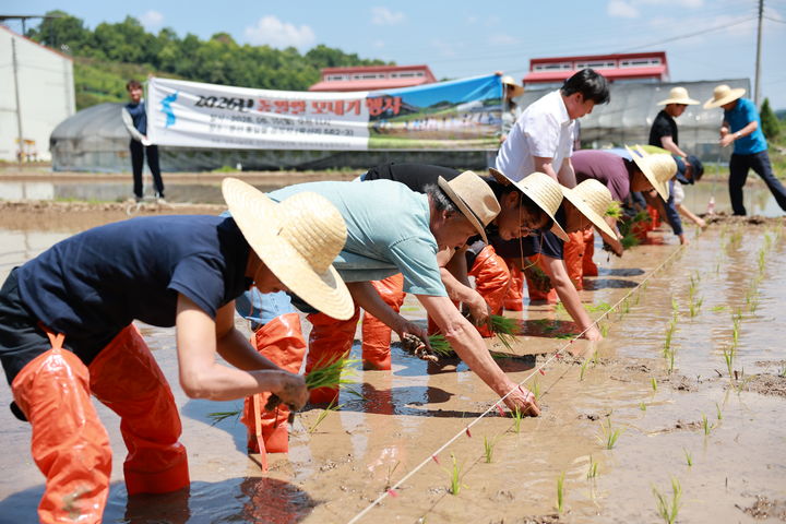 [진주=뉴시스] 진주시농민회, 통일쌀 모내기 행사. (사진=진주시농민회 제공) 2026.06.15. photo@newsis.com. *재판매 및 DB 금지