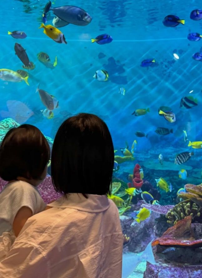 [서울=뉴시스] 그룹 앨리스 출신 소희가 연예계 은퇴 후 근황을 전했다. (사진=소희 인스타그램) 2026.06.16. photo@newsis.com&nbsp; *재판매 및 DB 금지