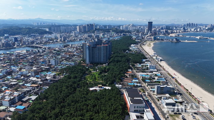 [포항=뉴시스] = 산림청의 '대한민국 모범 도시 숲'에 선정된 포항 송도 솔밭 도시 숲. 2026.06.16. photo@newsis.com
