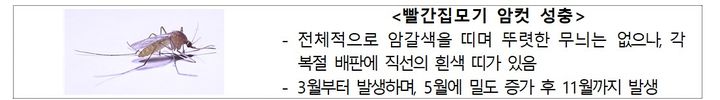 [세종=뉴시스]일본뇌염 매개 모기인 빨간집모기. (사진=질병관리청 제공) 2026.06.17. photo@newsis.com *재판매 및 DB 금지