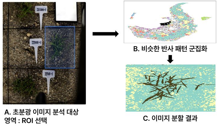 [진주=뉴시스] 경남 진주 산림바이오소재연구소 연구팀, 초분광 이미지 분석 대상 영역과 분석 이미지.(사진=산림청 제공) 2026.06.18. photo@newsis.com *재판매 및 DB 금지