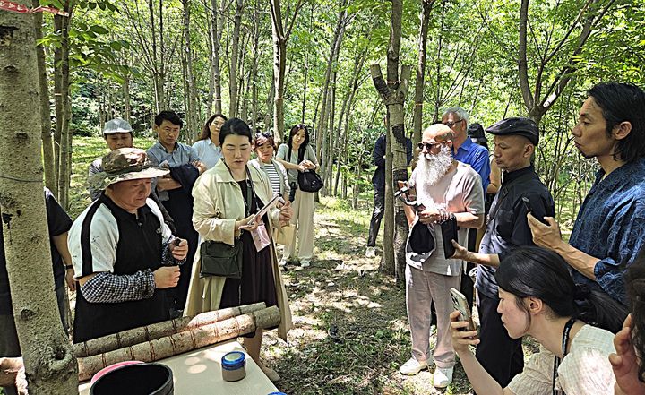 [원주=뉴시스] 소초면 생육지서 옻칠액 채취 과정 교육. (사진=원주시 제공) 2026.06.18. photo@newsis.com *재판매 및 DB 금지