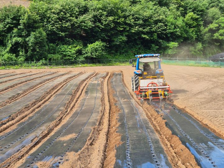 [진주=뉴시스]진주시, '그린바이오 특화작물' 시범사업 추진.(사진=진주시 제공).2026.06.19.photo@newsis.com *재판매 및 DB 금지