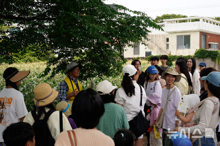 [제주=뉴시스] 2026 수산리 사탕옥수수 대잔치 모습. (사진=제주관광공사 제공) photo@newsis.com *재판매 및 DB 금지