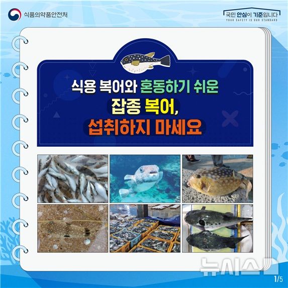 [서울=뉴시스] 식약처 소속 식품의약품안전평가원은 복어로 인한 식품 안전사고를 예방하고 복어 취급자의 이해를 돕기 위해 복어도감을 발간했다고 19일 밝혔다. (사진=식품의약품안전처 제공) 2026.06.19. photo@newsis.com