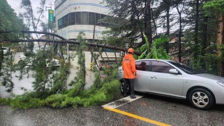 [춘천=뉴시스] 후평동 자연재해. (사진=강원특별자치도 소방본부 제공) 2026.06.20. photo@newsis.com *재판매 및 DB 금지