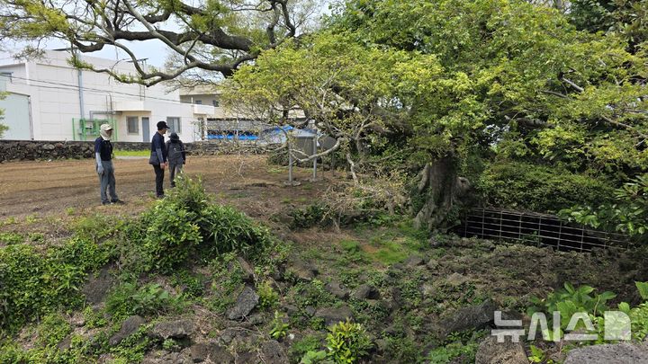 [제주=뉴시스] 임재영 기자= 지난 13일 오름연구소 올 연구위원들이 입산봉 아랫 자락에 있는 궤네기굴을 확인하고 있다. 2026.06.22.ijy788@newsis.com