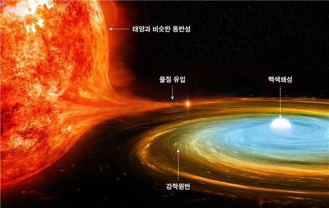 왜소신성의 구조. 두 개의 별이 서로를 공전하는 쌍성을 이룬다. 오른쪽 별이 둘 중 더 무거운 별인 백색왜성으로, 흰색이고 매우 작으며 밀도가 굉장히 높다. (사진=천문연 제공) *재판매 및 DB 금지