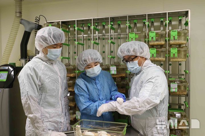 [서울=뉴시스] 가톨릭대학교 은평성모병원 연구지원팀 실험동물 케이지. (사진= 은평성모병원 제공)