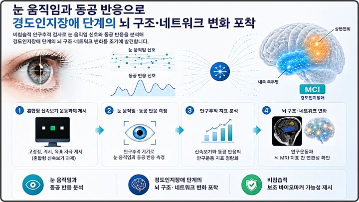 [대전=뉴시스] 안구추적 기반 경도인지장애 뇌 구조·네트워크 변화 탐지 연구도.(사진=한의학연구원 제공) *재판매 및 DB 금지