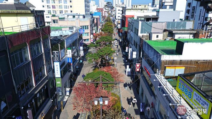 청주 소나무길 전경. (사진=충북도 제공) *재판매 및 DB 금지