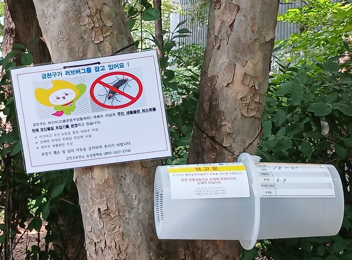 [서울=뉴시스]금천구 호암산숲길공원에 설치된 러브버그 유인물질 포집기. (사진=금천구 제공) 2026.06.22. photo@newsis.com *재판매 및 DB 금지