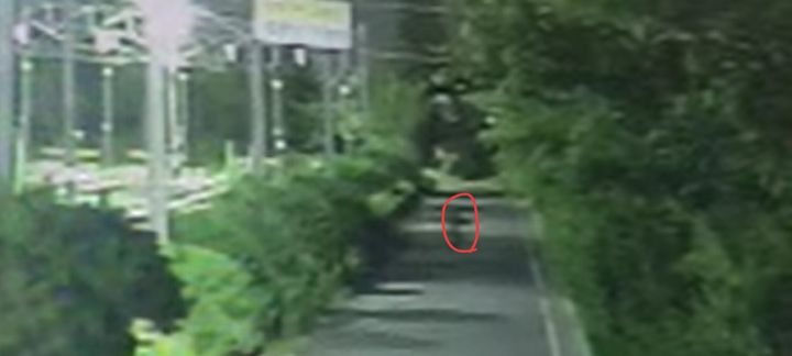 [부산=뉴시스] 3일 오전 부산도시철도 차량기지에 무단 침입해 전동차에 그라피티를 남긴 용의자가 현장을 달아나고 있다. (사진=부산교통공사 제공) 2026.06.23 photo@newsis.com *재판매 및 DB 금지