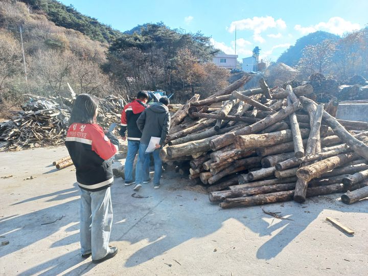 [함양=뉴시스] 경남 함양군 소나무류 무단이동 특별단속 실시. (사진=함양군 제공) 2026.06.23. photo@newsis.com *재판매 및 DB 금지