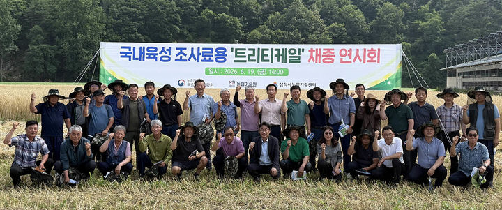삼척시농업기술센터는 지난 24일 원덕읍 노경리 일원에서 국내육성 조사료용 신품종인 ‘트리티케일’ 채종 연시회를 진행하고 잇다.(사진=삼척시 제공) *재판매 및 DB 금지