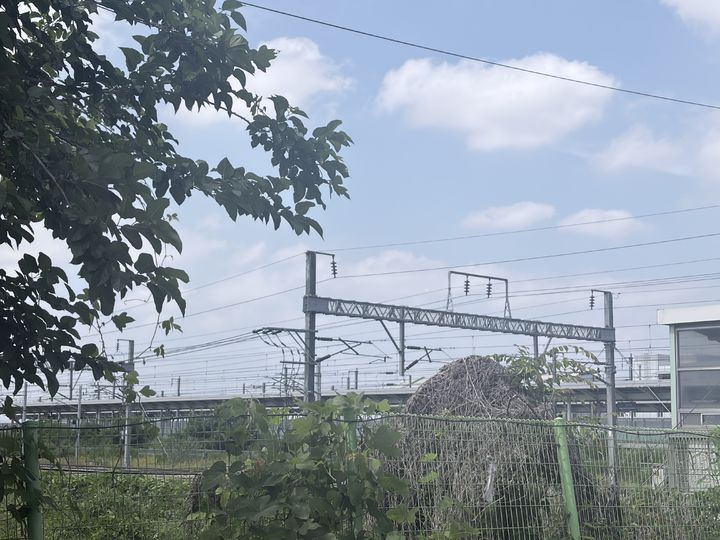 [평택=뉴시스] 이지윤 인턴기자 = 평택역을 관통하는 철도 모습. *재판매 및 DB 금지