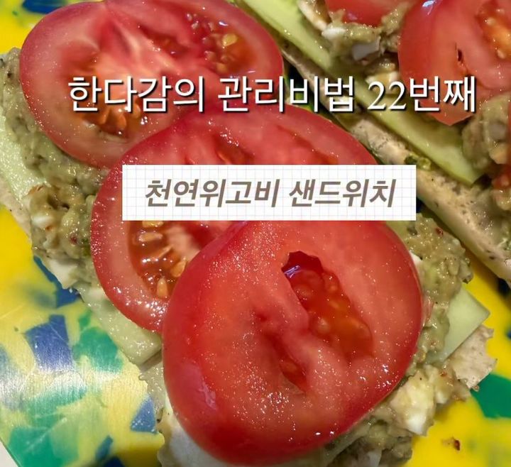[서울=뉴시스] 배우 한다감이 아보카도를 활용한 다이어트 식단을 공개했다. (사진=한다감 인스타그램 캡처) *재판매 및 DB 금지