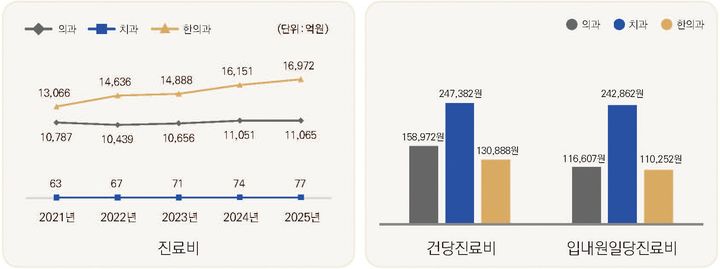[세종=뉴시스]자동차보험 진료비 진료분야별 현황. (사진=건강보험심사평가원 제공) 2026.06.24. photo@newsis.com *재판매 및 DB 금지