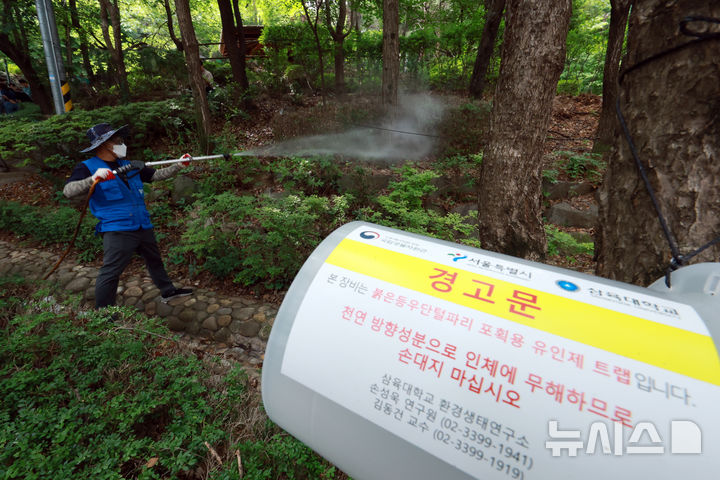 [서울=뉴시스] 고승민 기자 = 은평구보건소 관계자가 24일 서울 은평구 백련산 초입 실내배드민턴장 인근에서 약제가 아닌 물을 이용한 러브버그 방제 작업을 하고 있다. 2026.06.24. kkssmm99@newsis.com