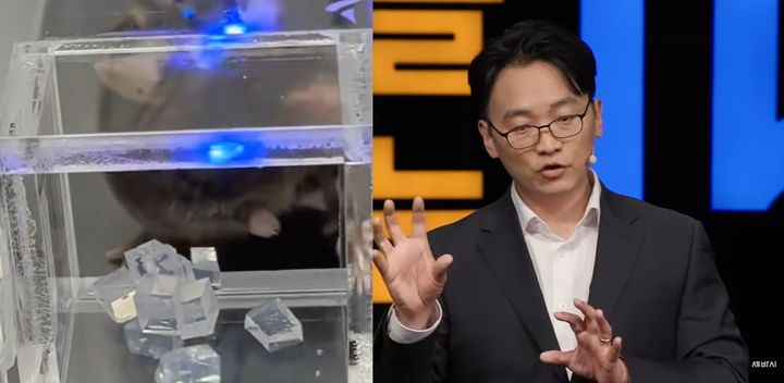 최형진 서울대학교 의과대학 뇌인지과학과·해부학교실 교수는 유튜브 채널 '세바시 강연 Sebasi Talk'(세상을 바꾸는 시간 15분)' 강연에서 "실험쥐의 욕망 학습 신경을 자극하면 평생 특정 맛의 젤리만 좋아하게 만들 수 있다"며 특정 음식에 대한 선호가 뇌 신경 조작과 학습에 의해 결정된다고 밝혔다. 사진 유튜브 채널 '세바시 강연 Sebasi Talk'(세상을 바꾸는 시간 15분)' 영상 캡처 *재판매 및 DB 금지