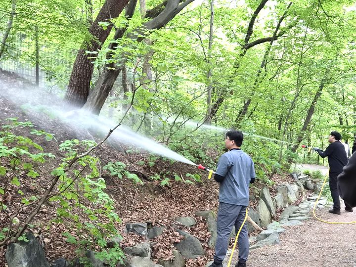 [서울=뉴시스] 서울시의 러브버그 친환경 방제 시범사업 중 BTI 제제 살포 모습. (사진=서울시 제공) 2026.06.25. photo@newsis.com *재판매 및 DB 금지