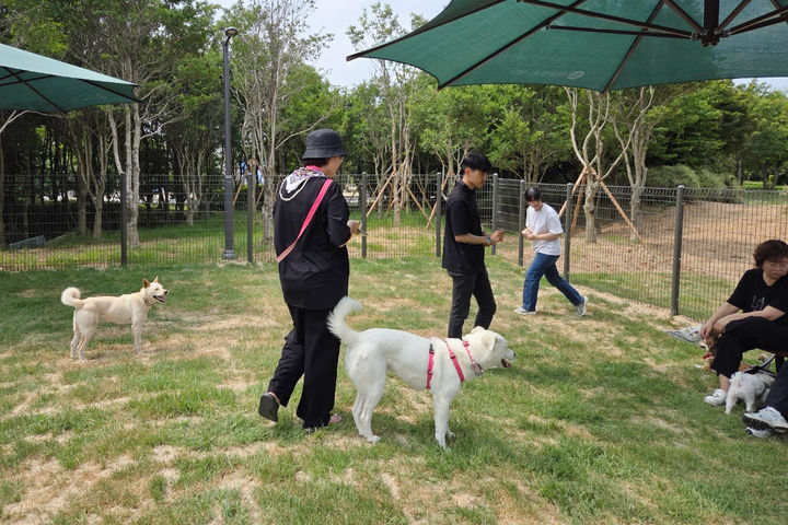 [광주=뉴시스] 광주 서구 풍암생활체육공원에 마련된 공공 반려견놀이터. (사진=서구 제공) 2026.06.25. photo@newsis.com *재판매 및 DB 금지